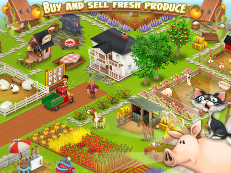 Hay Day – Kein alltägliches Farmspiel mit vielen witzigen Extras und guter Grafik