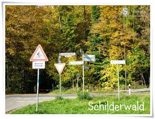 Spaziergang am Oberwaldhaus und Steinbrücker Teich - Folge2