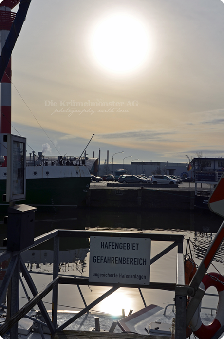 Fischereihafen Bremerhaven 261113 (16)