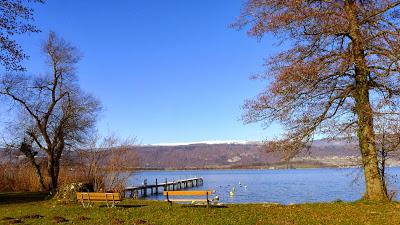 Illusionen am Bielersee