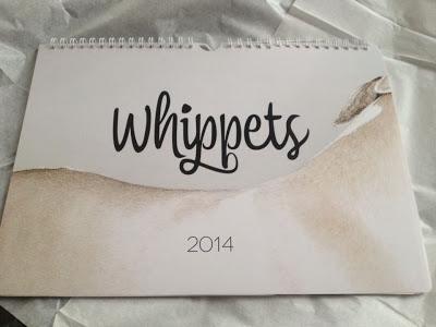 Kalendermodel im Whippet Kalender 2014