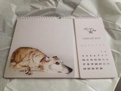Kalendermodel im Whippet Kalender 2014