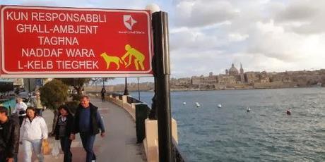Malta: auf meinem Kopf hockt eine Qualle