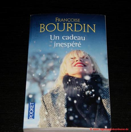 Modernes französisches Weihnachtsmärchen. Rezension von Francoise Bourdin Un cadeau inespéré, Freitags in Frankreich in der Regenbogenkombüse
