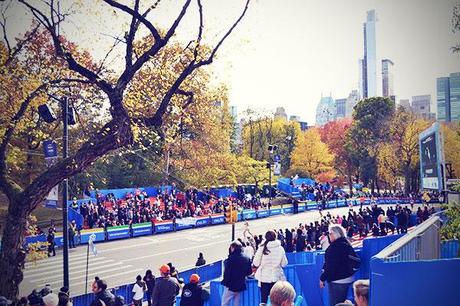 New York November 2013 Marathon Central Park