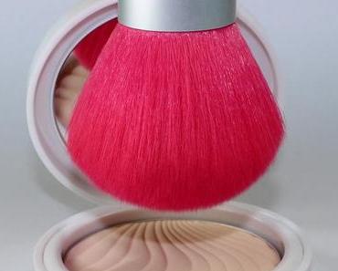 PINK  fluffy powder brush! ...and my cosmetic brush storage...