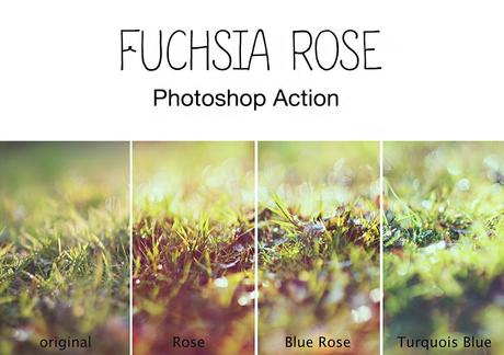 Photoshop Action: Fuchsia Rose