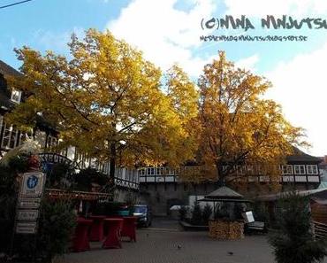 [Freitagss(ch)ätze] Ganz viel Kuchen und Gebäck, frostige Fotos, und viel mehr