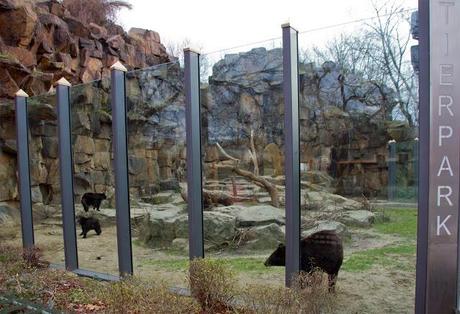 Tierpark Berlin (Fotos 1)