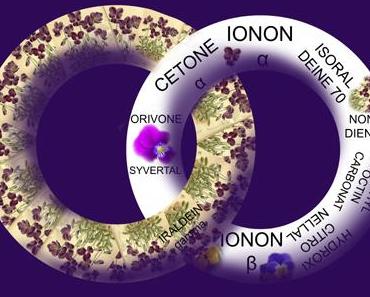 Veilchennote für Parfum mischen