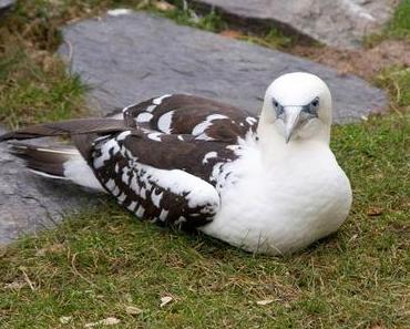 Tierpark Berlin (Fotos 2)