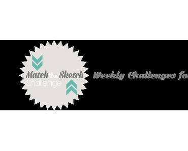 Match the Sketch Challenge #1