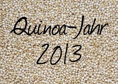 Mein Quinoa-Jahr - Rezepte Roundup & mein persönliches Fazit