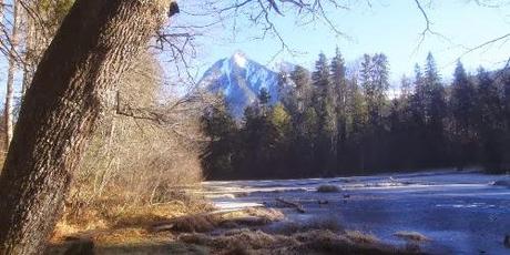 mein Kröten-Verleih