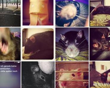 InstaWeek "Back in the game"
