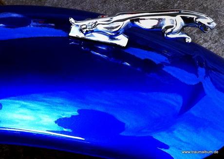 Jaguar auf blauem Schutzblech