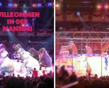 Spannung, Spaß & etwas Popcorn...