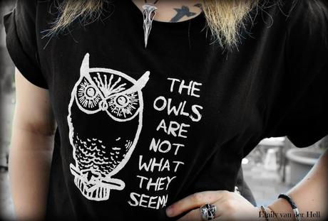 The Owls are not what they seem!