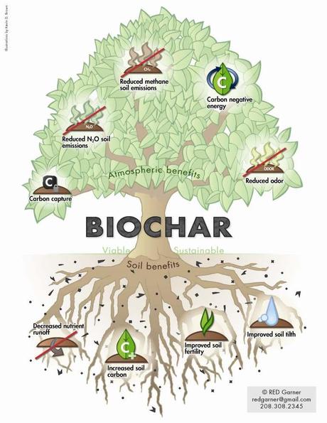 Der Nutzen von Biokohle. (c)biochar-international.org