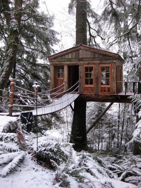 TreeHouse Point: Das Baumhaus nahe Seattle