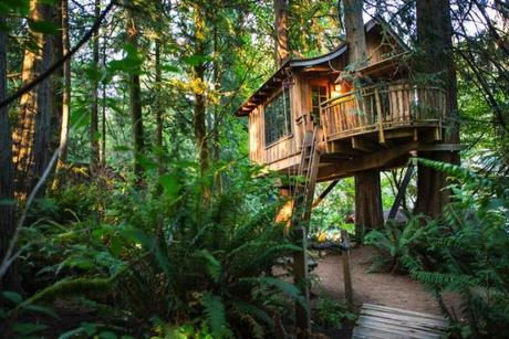 TreeHouse Point: Das Baumhaus nahe Seattle