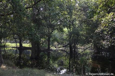 Gewässer im Vogelschutzgebiet in Bharatpur