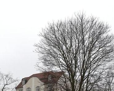 12tel Blick | Januar 2014