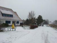  Winter auf Hiddensee