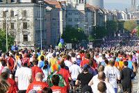 Die Spezies Läufer - woran man ihn erkennt!