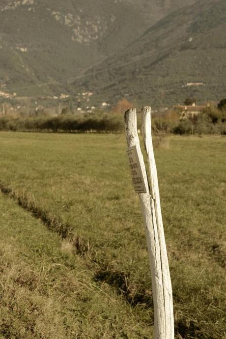 Toskana Landschaft Felder Vivi D'Angelo (2)