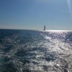 Glasbodenboot Nautilus auf Elba-Aussicht-02