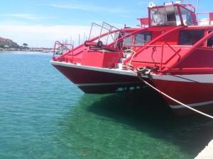 Glasbodenboot Nautilus auf Elba-Vorderansicht