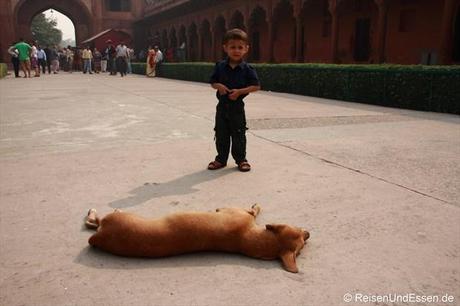 Hund und Kind im Eingangsbereich zum Taj Mahal