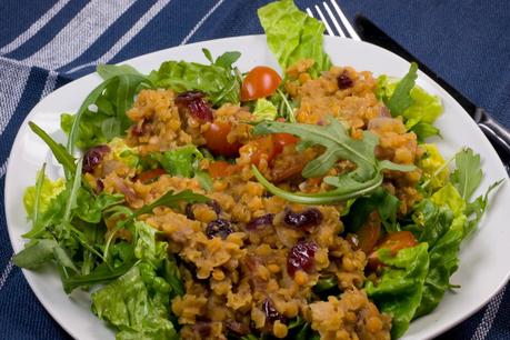 Rezept: Roter Linsen-Salat mit Cranberrys und Ruccola