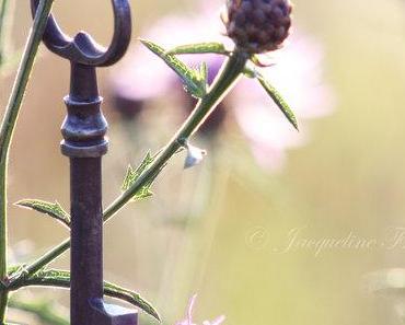 wallpaper-1689754