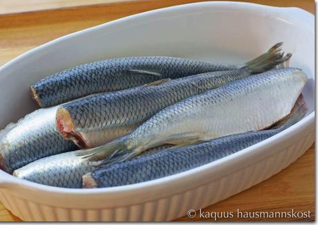 selbstgemacht: Bismarckheringe und rheinischer Heringsstipp