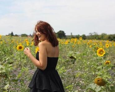 Das Sonnenblumen-Blumen-Feld