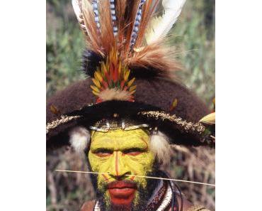 Naturschmuck - Paradiesvogelfedern