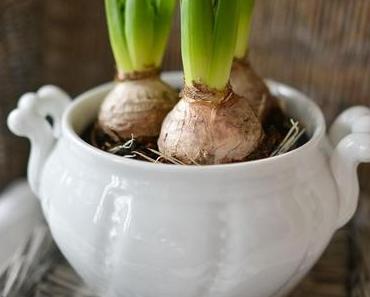 (Online-)Verwöhnprogramm