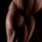Muskeln definieren 150x150 Muskeln definieren  was wirklich zählt in 3 Minuten