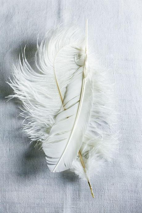 Atemlos still: Dualseelen.