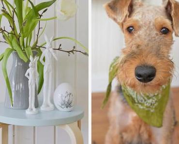 Die Geschichte vom Leckerli und warum ich so nackert bin