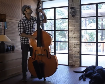 Geiles Solo auf dem Kontrabass (Video)