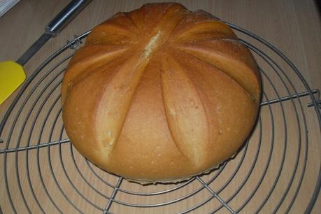 Sonnenbrot