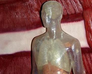 Der Mensch mal in Zahlen gesehen