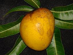 limonaden lassi mango