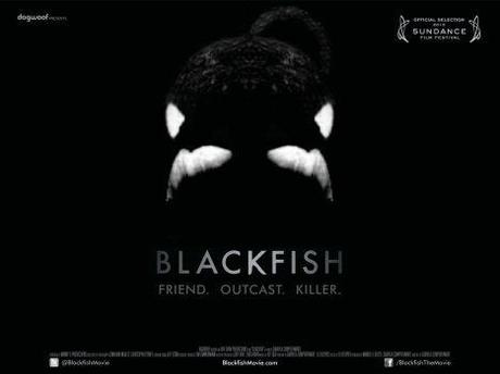 Review: BLACKFISH - Das Geschäft mit den Orcas