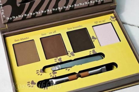 essence how to make Brows Wow Palette, Review, Fotos, Swatches, Tragebilder
