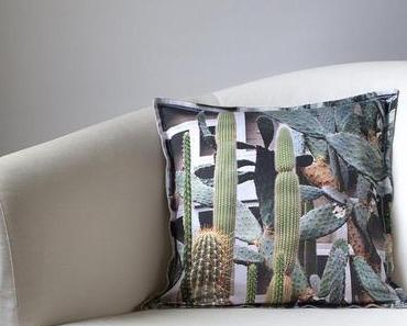 Die Kakteen und das Meer