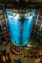 Aquadom Berlin – Heiraten im Aufzug oder Aquarium?